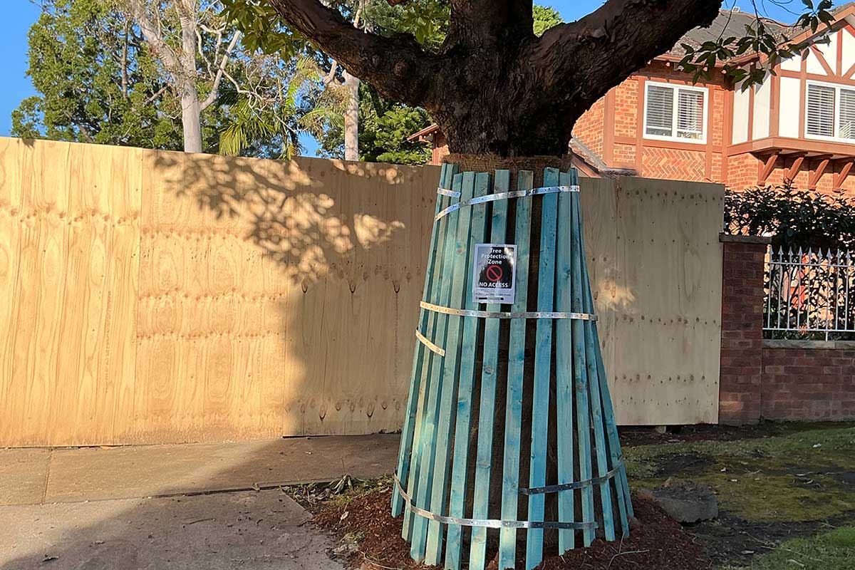 Tree protected in Inner West with slatted timber TPZ barrier at a construction site for AS 4970 compliance.